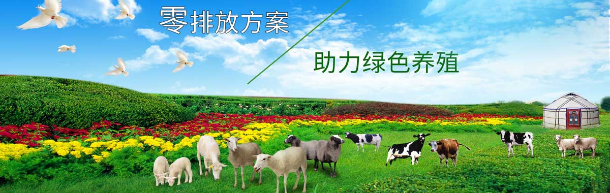 &#38647;&#36895;&#45;&#38647;&#36895;&#65288;&#20013;&#22269;&#65289;